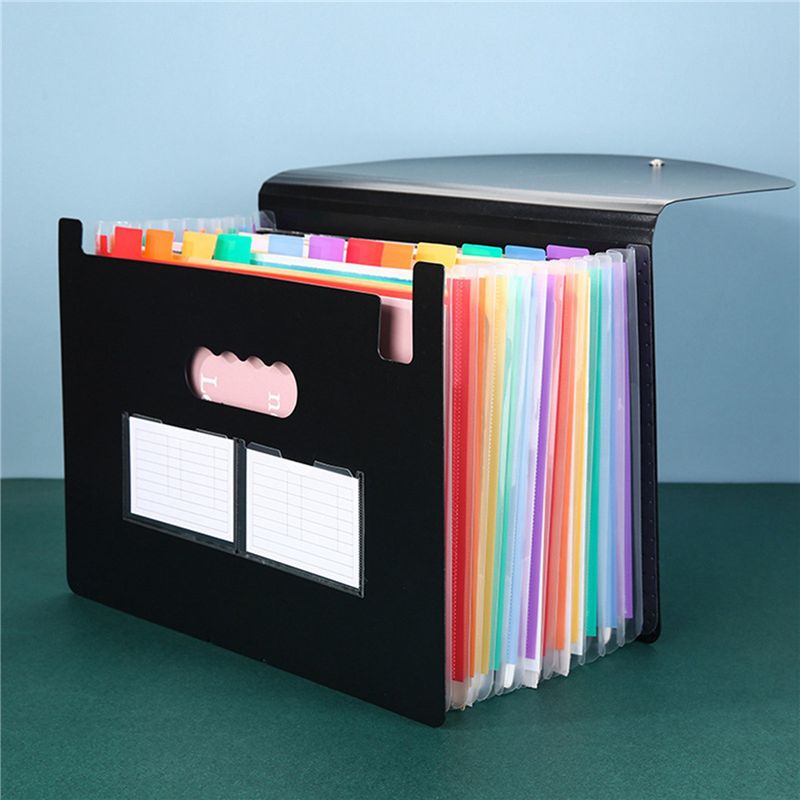Cartella Portadocumenti Espand - Expandable Accordion File Folder 13 Pockets recensione e prezzo